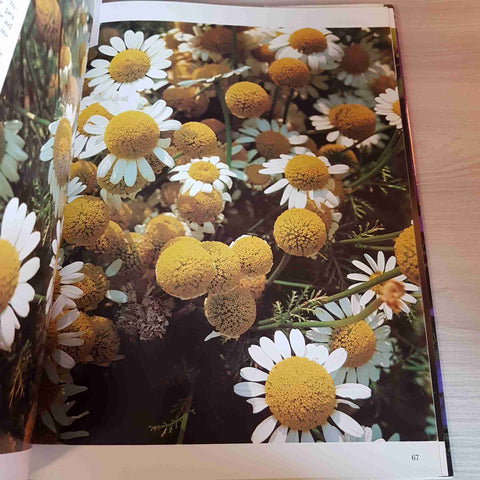IL LIBRO DEI FIORI MERAVIGLIOSI gina barnabe' bosisio VALLARDI 1990