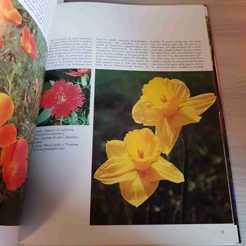 IL LIBRO DEI FIORI MERAVIGLIOSI gina barnabe' bosisio VALLARDI 1990
