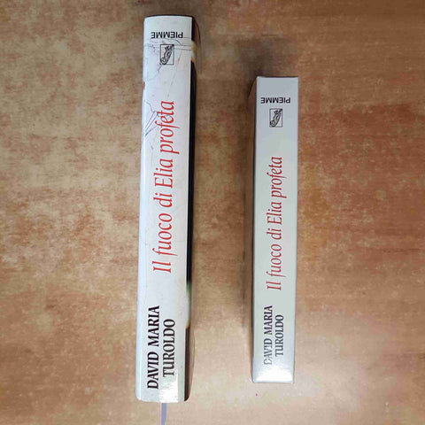 IL FUOCO DI ELIA PROFETA libro + dvd DAVID MARIA TUROLDO 1°edizione PIEMME 1993