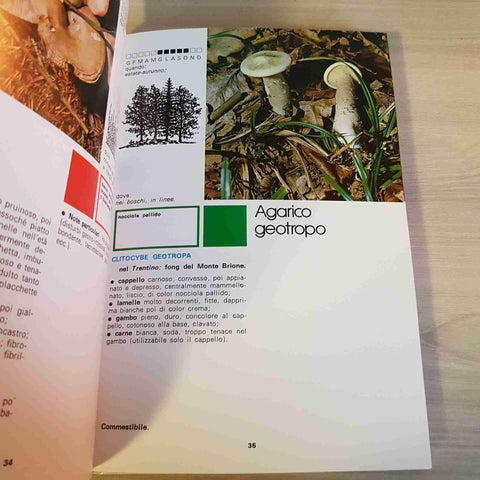 I BUONI E I CATTIVI TRA I FUNGHI - LEONI, FERRERI, CURCIO - GORLICH - 1983