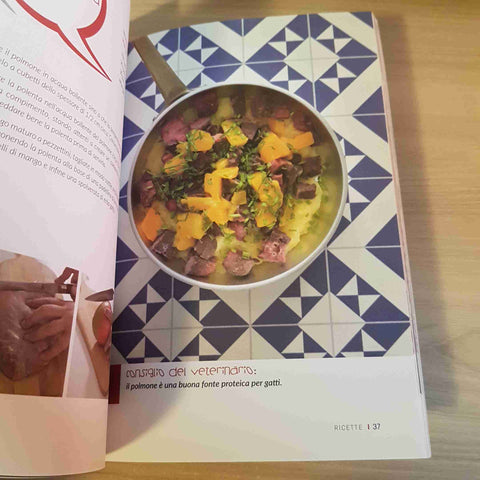 CUCINA DA GATTI RICETTE DA VERO GOURMET - VANDONI, CAIRO - TRENTA EDITORE - 2018