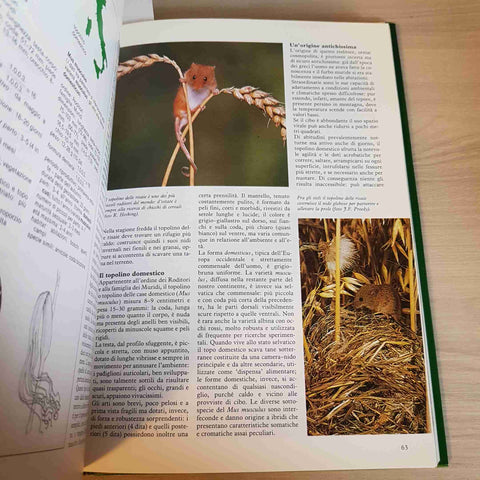 I MAMMIFERI GUIDA A TUTTE LE SPECIE ITALIANE TENUCCI 1988 DEAGOSTINI / CARLI