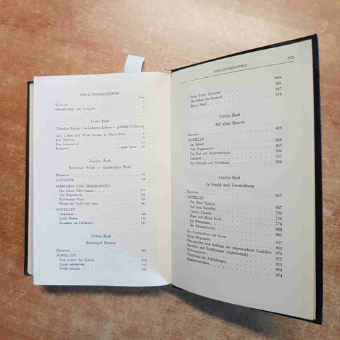 THEODOR STORM - STORMS WERKE in einem band 1955 DIE BERGLAND BUCH KLASSIKER