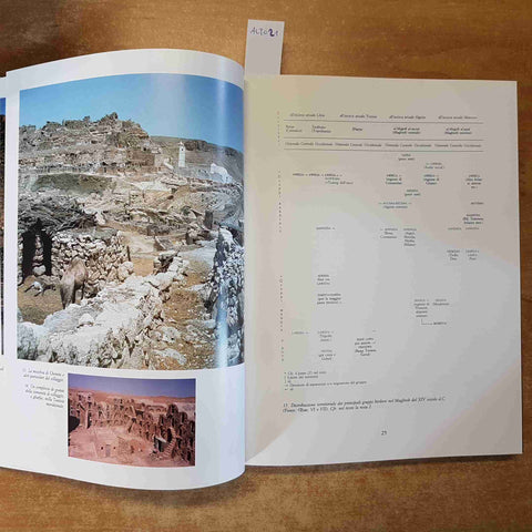 IL MEDIOEVO ARABO E ISLAMICO DELL'AFRICA DEL NORD 1991 JACA BOOK corpus arabicu