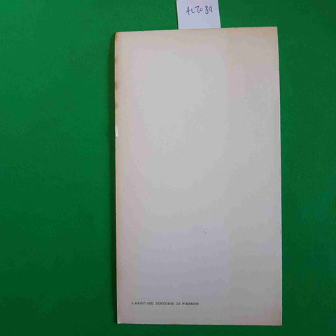CARTOLINA POSTALE L'ARNO NEI DINTORNI DI FIRENZE rara immagine formato 11,5x21