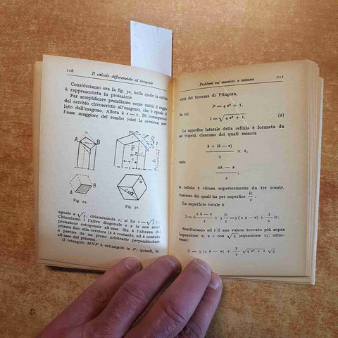 IL CALCOLO DIFFERENZIALE ED INTEGRALE RESO FACILE ED ATTRAENTE Bessiere HOEPLI