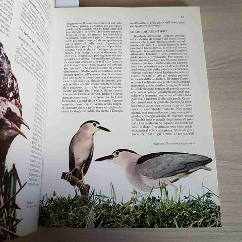 IL MERAVIGLIOSO MONDO DEGLI UCCELLI - FEDERICO MOTTA EDITORE - 1983