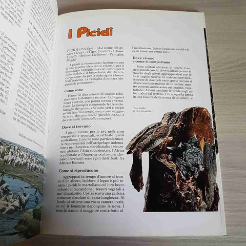 IL MERAVIGLIOSO MONDO DEGLI UCCELLI - FEDERICO MOTTA EDITORE - 1983