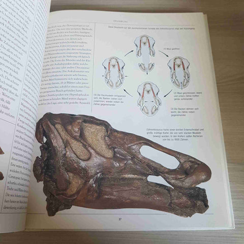 DINOSAURIER WIE SIE LEBTEN WARUM SIE AUSSTARBEN - GARDOM - BASSERMANN - 1993