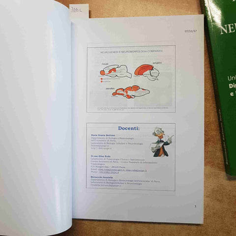NEUROGENESI E NEUROMORFOLOGIA COMPARATA 2 volumi SYNOPSIS MEDEA Bernocchi Roda
