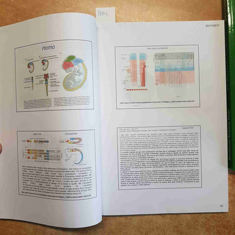 NEUROGENESI E NEUROMORFOLOGIA COMPARATA 2 volumi SYNOPSIS MEDEA Bernocchi Roda