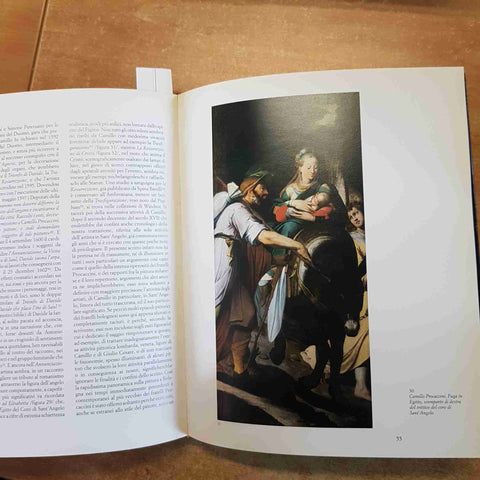 SANT'ANGELO IN MILANO I CICLI PITTORICI DEI PROCACCINI Maria Cristina Chiusa