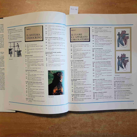 ABC DEL CORPO UMANO - SELEZIONE DAL READER'S DIGEST 1992