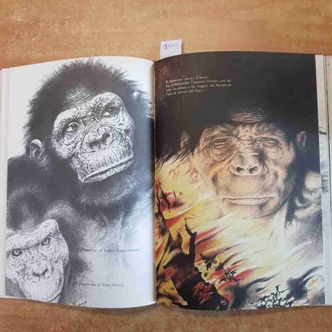 HOMO SETTANTA MILIONI DI ANNI FA Carlo Ranzi 1982 RIZZOLI - PALEONTOLOGIA