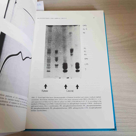 MUCUS AND MUCOSA - CIBA FOUNDATION SYMPOSIUM - 1984