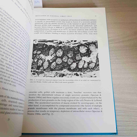 MUCUS AND MUCOSA - CIBA FOUNDATION SYMPOSIUM - 1984