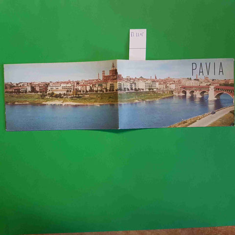 GUIDA A POSTER: PAVIA CITTA' ROMANICA + CERTOSA VIGEVANO MONTE PENICE a colori