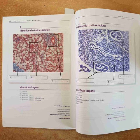 ESERCIZIARIO DI ANATOMIA MICROSCOPICA - NICOLETTA GAGLIANO 2021 PICCIN
