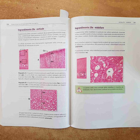 ESERCIZIARIO DI ANATOMIA MICROSCOPICA - NICOLETTA GAGLIANO 2021 PICCIN