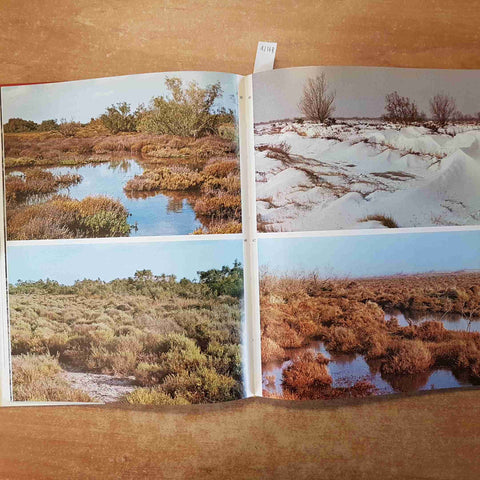 CAMARGUE L'AME D'UN SOL SAUVAGE 1974 Hoffmann Weber - ELSEVIER SEQUOIA
