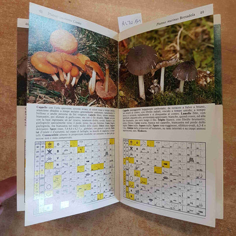 FUNGHI A COLPO D'OCCHIO - UMBERTO NONIS 1992 PRIULI VERLUCCA micologia