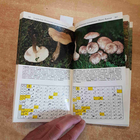 FUNGHI A COLPO D'OCCHIO - UMBERTO NONIS 1992 PRIULI VERLUCCA micologia