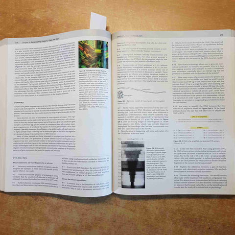 MOLECULAR BIOLOGY OF THE CELL fifth edition MANCA IL DVD!!! garland science