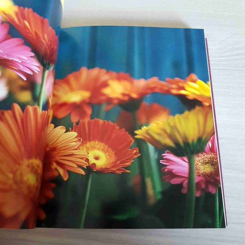 FIORI OLTRE 200 MODI DI DISPORRE I FIORI A CASA VOSTRA - STEPHEN WOODHAMS - 2005