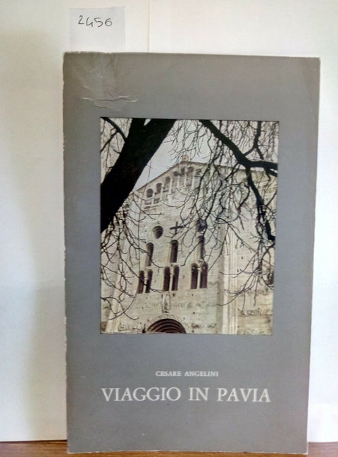 CESARE ANGELINI - VIAGGIO IN PAVIA 1966 FUSI 2 EDIZIONE (2456)