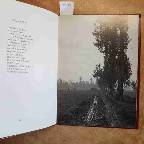 DARIO MORANI - CUI GRILI IN BAGAROLA 1973 FOTO CHIOLINI - ALFIERI - PAVIA pavese