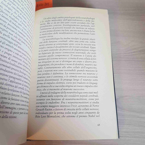UN SAGGIO MI HA DETTO IL NOSTRO FUTURO IN QUATTORDICI INCONTRI 1999 CECCHI PAONE
