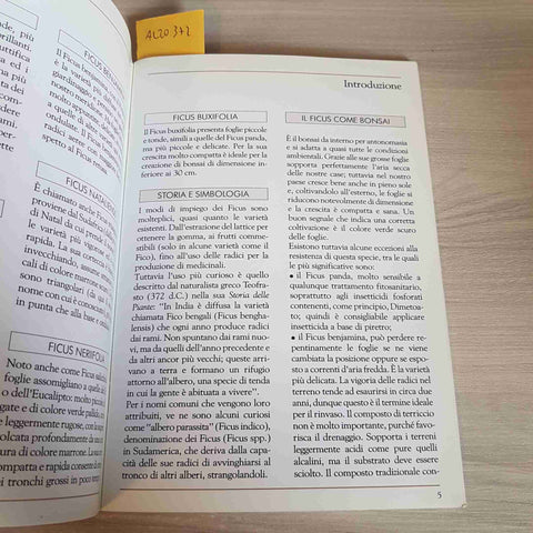 FICUS - BONSAI & NEWS - CRESPI EDITORI - 2002
