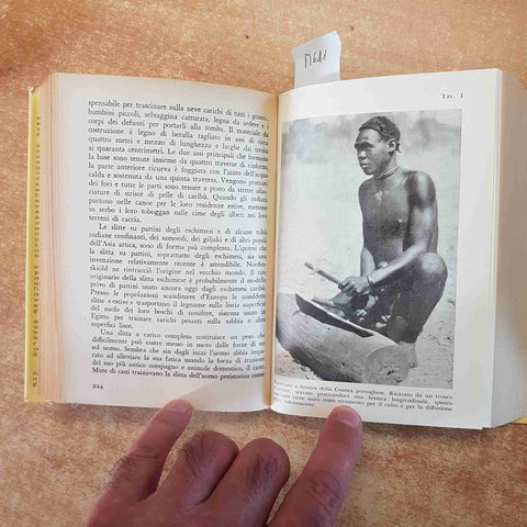 LE ORIGINI DELLE COSE JULIUS E. LIPS LE PICCOLE STORIE ILLUSTRATE SANSONI 1959