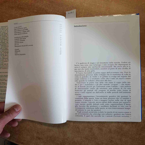 I FIGLI TENEREZZE E CRUDELTA' NELLE FAMIGLIE DEGLI ANIMALI 1989 Lattes Coifmann