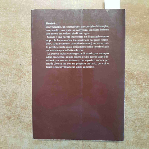 XX SINODO DIOCESANO DELLA CHIESA NOVARESE 1990 ALDO DEL MONTE novara