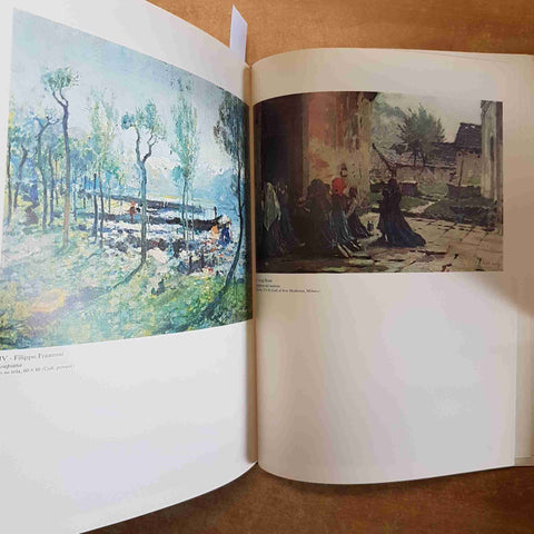 IL LAGO MAGGIORE IN UN SECOLO DI PITTURA 1840/1940 Guido Cesura 1978DE AGOSTINI