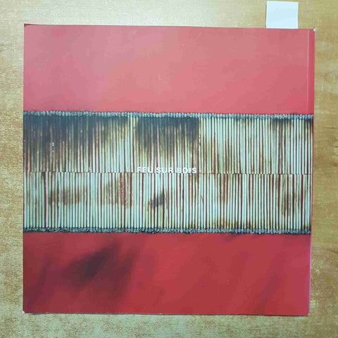 BERNARD AUBERTIN - FEU SUR BOIS 2011