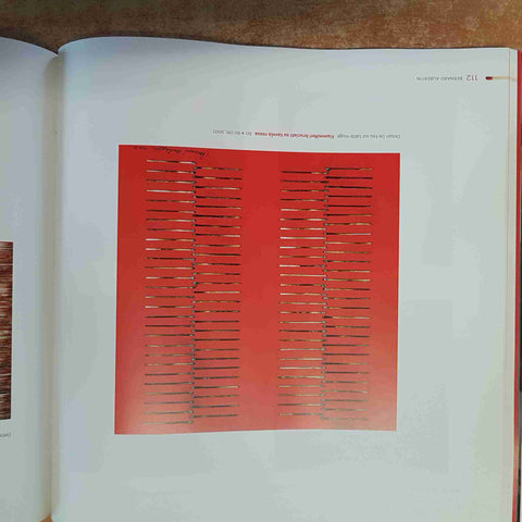 BERNARD AUBERTIN - FEU SUR BOIS 2011
