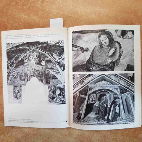 OPERE D'ARTE A VERCELLI E NELLA SUA PROVINCIA RECUPERI E RESTAURI 1968-1976