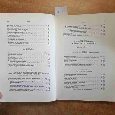 IL MINORE E IL GIUDICE CIVILE - CAMPANATO, ROSSI 2000 CEDAM