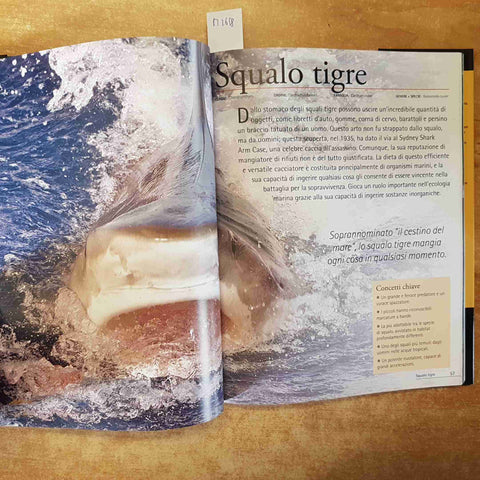 ANIMALI DEL MONDO - SQUALI E PREDATORI DEGLI ABISSI 2008 IMP