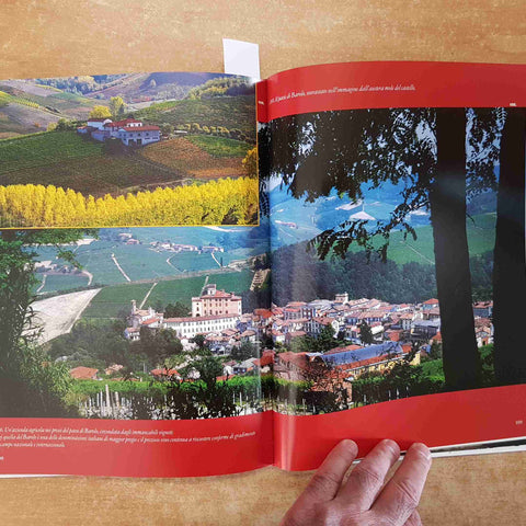 BUONGIORNO PIMEONTE - MASSIMO GRAMELLINI FUSARO 2004 PRIULI VERLUCCA LA STAMPA