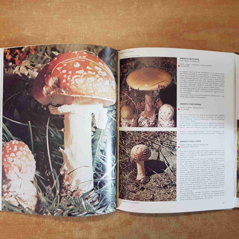 I FUNGHI OGGI 2 VOLUMI + COFANETTO 1989 MARIO VALORI - VELAR
