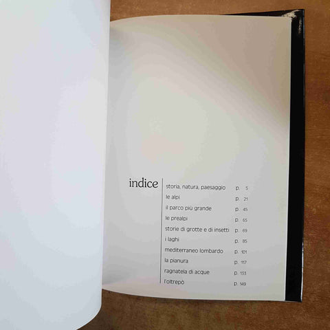 LOMBARDIA ANCORA PAESAGGI LOMBARDI DA SALVARE Campana Folini 1981 REGIONE LOMBAR
