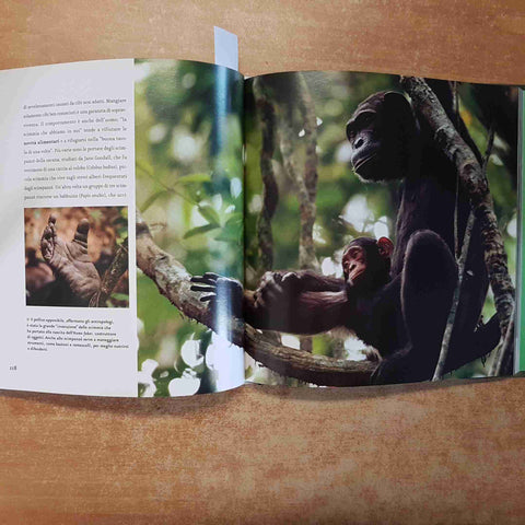 ATLANTE DEGLI ANIMALI - IL GORILLA E IL MONDO DEI PRIMATI corriere della sera
