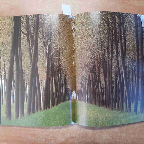 IL MONDO DELLA NATURA IN EMILIA ROMAGNA LA PIANURA E LA COSTA 1990 PIZZI
