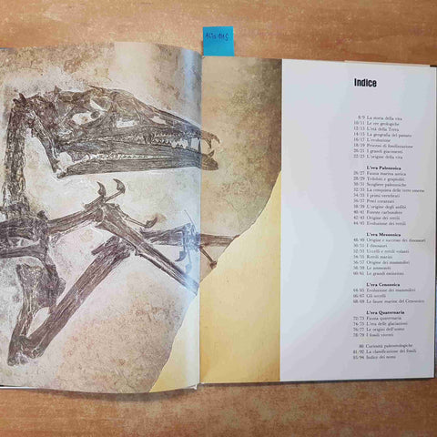 ATLANTE DELLA PREISTORIA - ARDUINI TERUZZI 1982 VALLARDI una guida illustrata