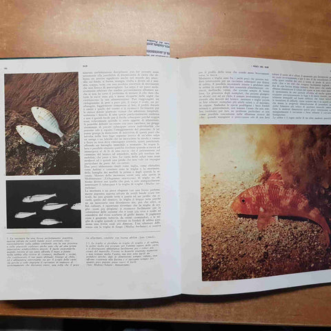 SUB ENCICLOPEDIA DEL SUBACQUEO 2 volumi SADEA SANSONI 1968 ALESSANDRO OLSCHKI