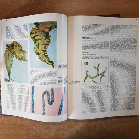 SCIENZE NATURALI - I VEGETALI 2 VOLUMI - DE AGOSTINI 1973