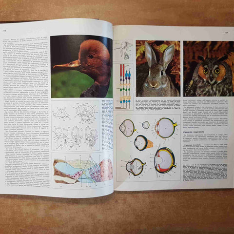 SCIENZE BIOLOGICHE - GLI ESSERI VIVENTI - 2 volumi DE AGOSTINI 1975
